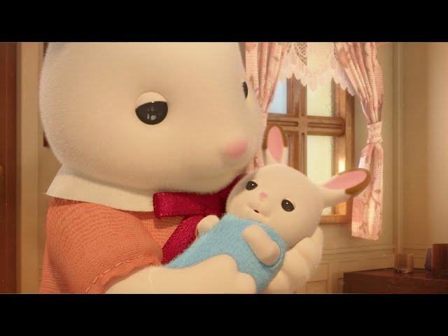 The Baby Is Coming!  | Animation Compilation | Sylvanian Families