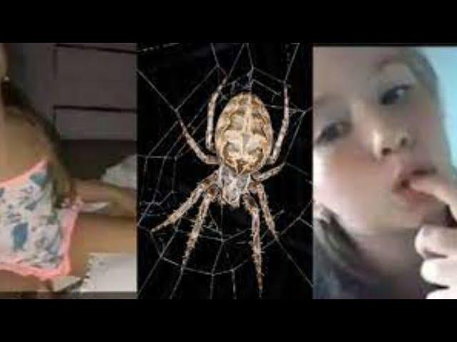 El video original de yeimi rivera la niña araña video viral de Facebook