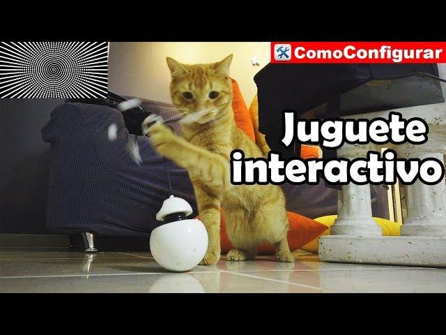 Juguetes Electrónicos para Gatos Online - Accesorios para gatos Parte 5