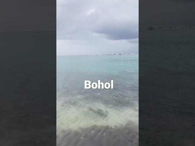 Neverending January in Bohol, Philippines | Youtube Short