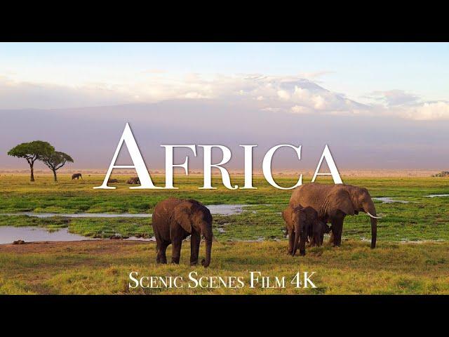 Amazing Wildlife Of AFRICA In 4K | Aerial Drone | Scenic Scenes Film