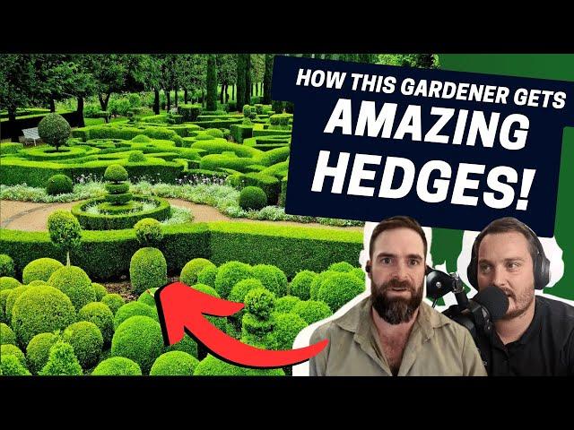 The Secret To PERFECT Hedges! Masterclass with Craig Rattcliffe