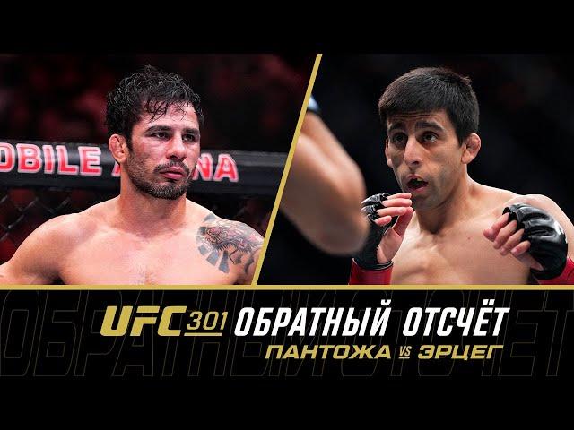 UFC 301: Обратный отсчет - Пантожа vs Эрцег