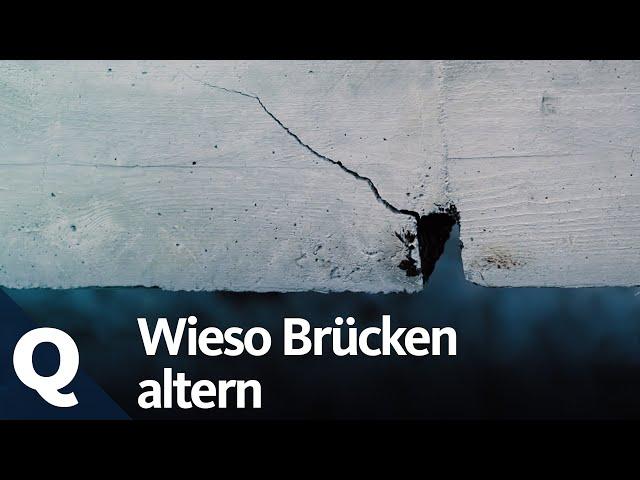 Einsturz der Carolabrücke - Wie eine Brücke altert und einstürzt | Quarks Experiment