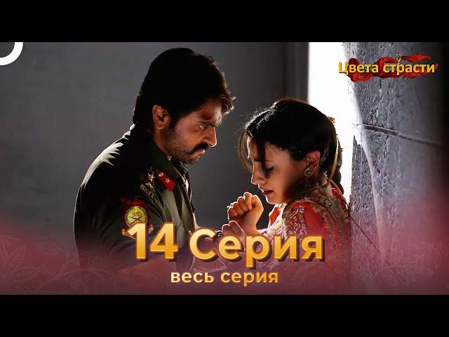 Цвета Страсти Индийский сериал 14 Серия | Русский Дубляж