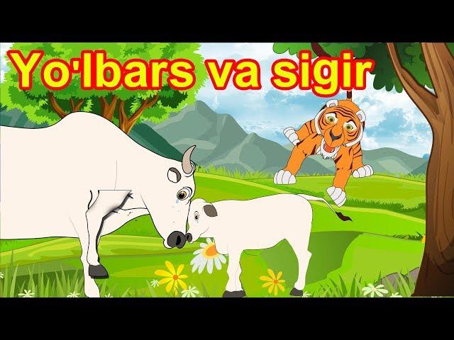 Yo'lbars va sigir | multfilm | O'zbek multfilmlari | O'zbek ertaklari | Uzbek Axloqiy Hikoyalari