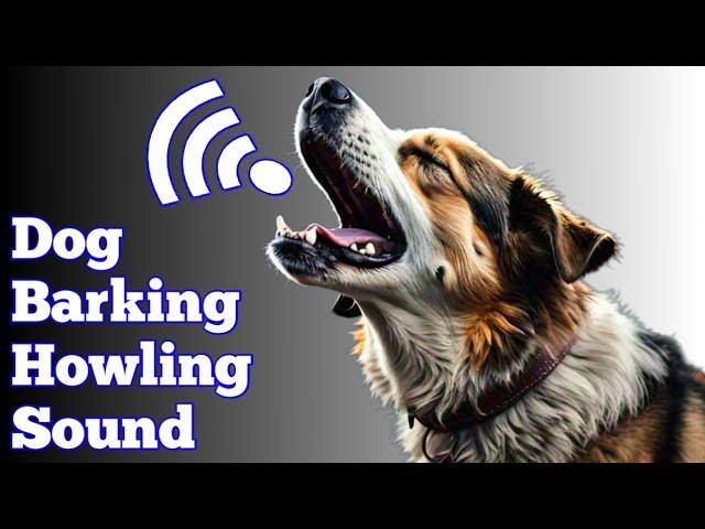 Dog Barking And Howling Sound Effect