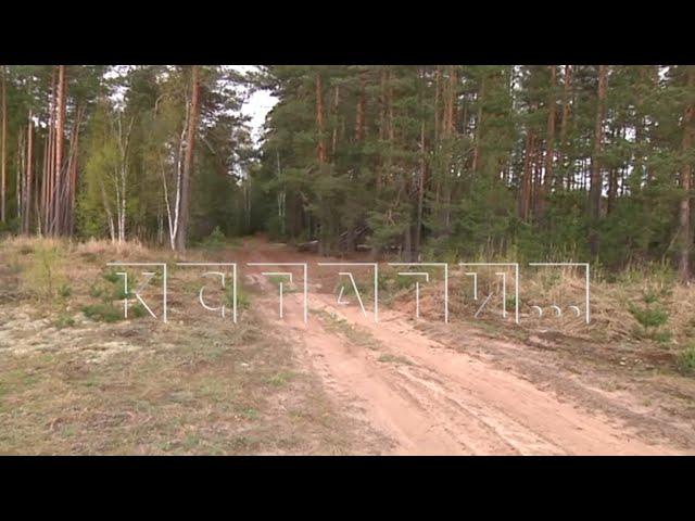 Две маленькие девочки, заблудившиеся в лесу, оказались в болоте и были спасены