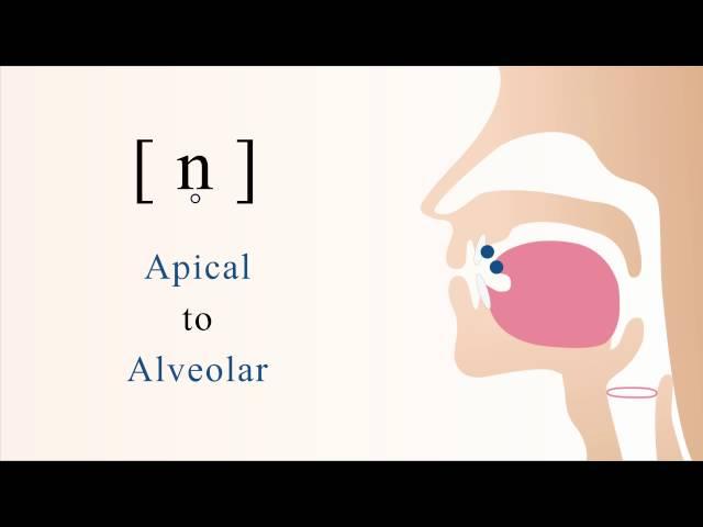 [ n̥ ]  unvoiced apical alveolar nasal stop