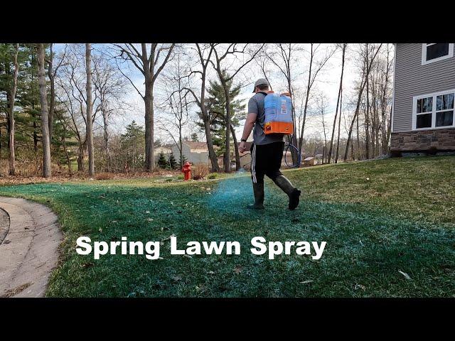 Spring Lawn Spraying - Best Start of the Season