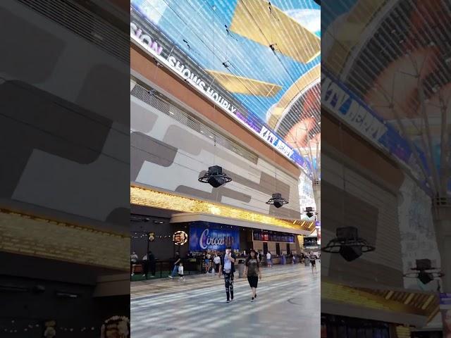 Vegas Vibes