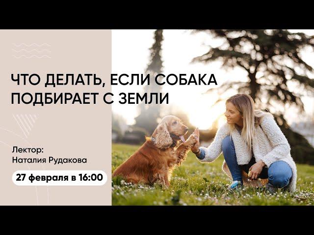 Что делать, если собака подбирает с земли? Вебинар Школы «Хвост Ньюс»