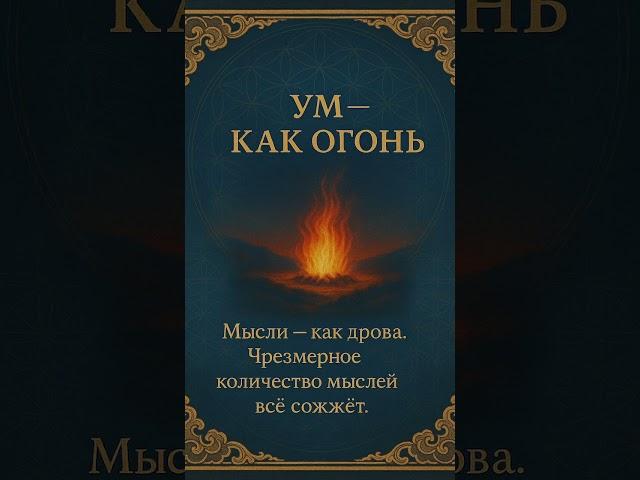 Ум как Огонь  #жизнь #развитие #осознанность #цитаты #силасознания #саморазвитие #духовность