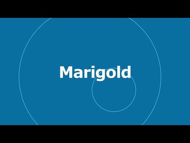  Marigold - Quincas Moreira  No Copyright Music  YouTube Audio Library