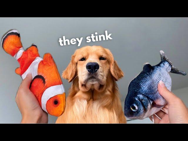 My Dog Reacts to Floppy Fish