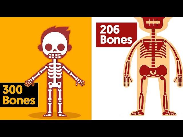 Why do Babies Have More Bones Than Adults, and What Happens to Them?