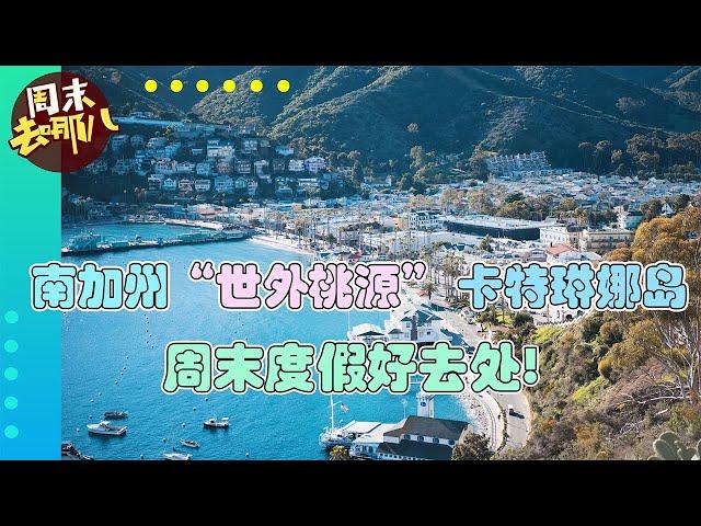 南加州“世外桃源”——卡特琳娜岛 周末度假好去处！《周末去哪儿》第11期 Dec 12, 2020