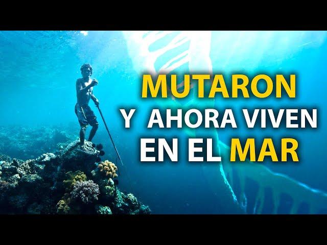 Documental Gitanos del Mar: Esta TRIBU MUTÓ y ahora puede SUMERGIRSE a 60 METROS BAJO el MAR