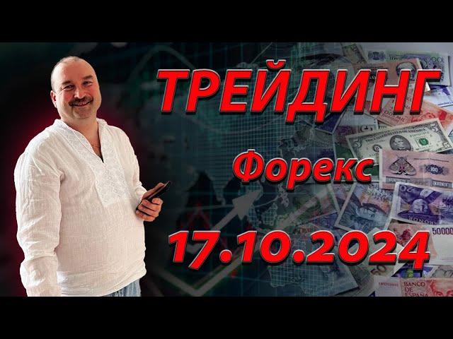 Форекс прогноз для начинающих: путь к профессиональному трейдингу