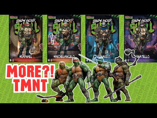 Do We Have Too Many TMNT Figures? 2 New Sets Announced!