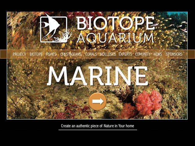 BIOTOPE AQUARIUM Project – MARINE