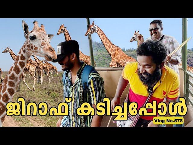 M4 Tech Feeding Giraffes | ജിറാഫ് കടിച്ചപ്പോൾ സംഭവിച്ചത് | Safari World and Marine Park Thailand