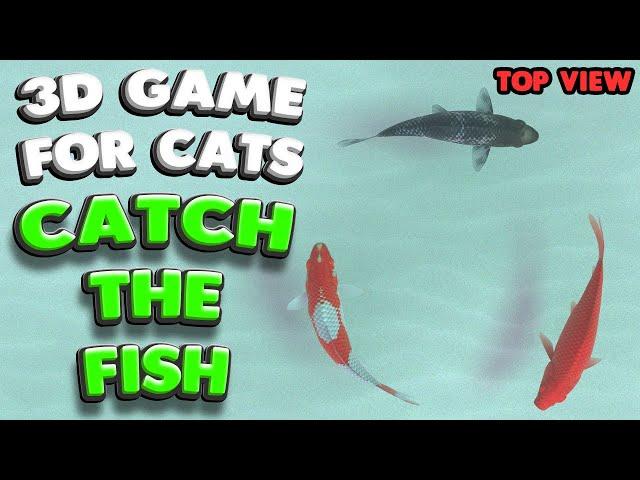 3D game for cats | CATCH THE FISH (top view) | 4K, 60 fps, stereo sound