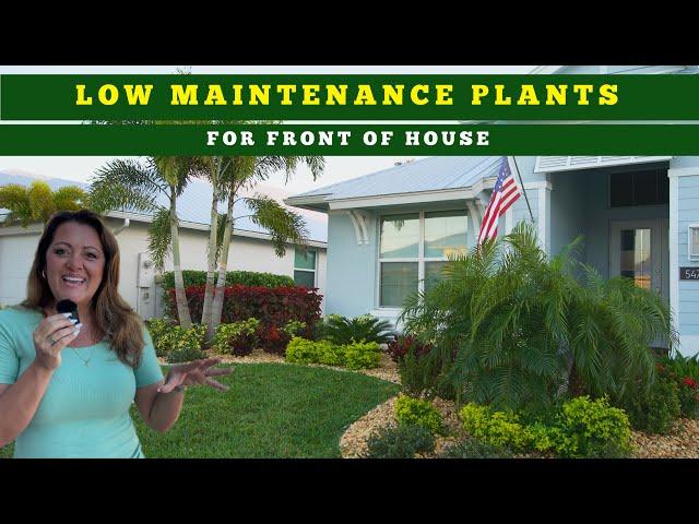 The Best Low Maintenance Plants for Your Florida Garden