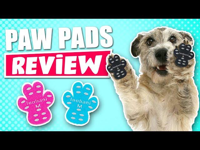 Dog Paw Protector Anti-Slip Traction Pads Review