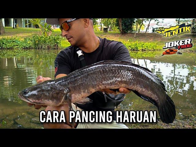 CARA MANCING HARUAN