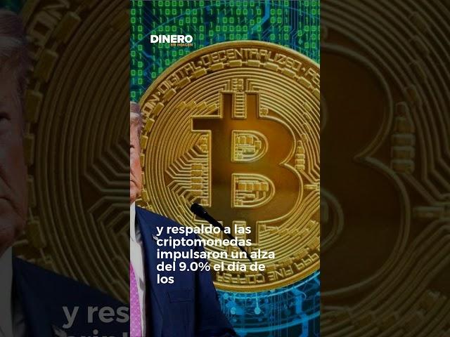 Trump y el auge del Bitcoin  | Dinero en Imagen