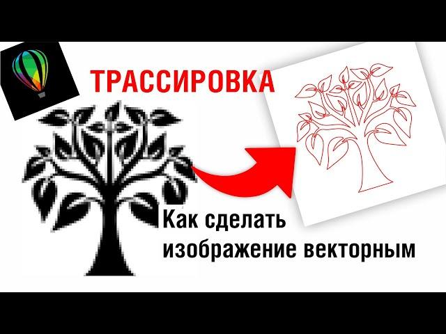 Трассировка. Как сделать изображение векторным? Какие картинки подойдут оптимально? Corel Draw