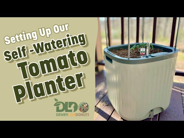 Easy Tomato Planting: Self-Watering Garden Planter for Patio Gardening with Vego Garden