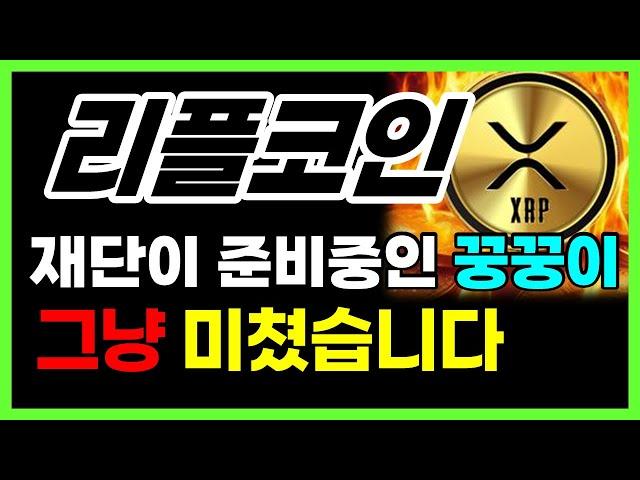 [리플 전망] 재단이 준비중인 꿍꿍이!!! 그냥 미쳤네요  #리플목표가 #리플코인전망