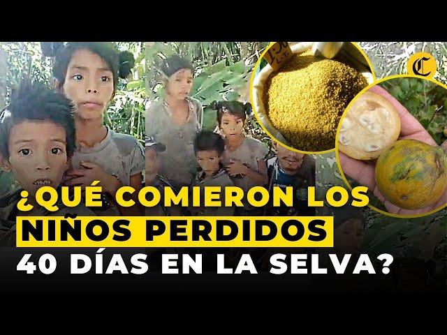 Esto fue lo que COMIERON los NIÑOS ENCONTRADOS EN LA SELVA colombiana para SOBREVIVIR 40 días