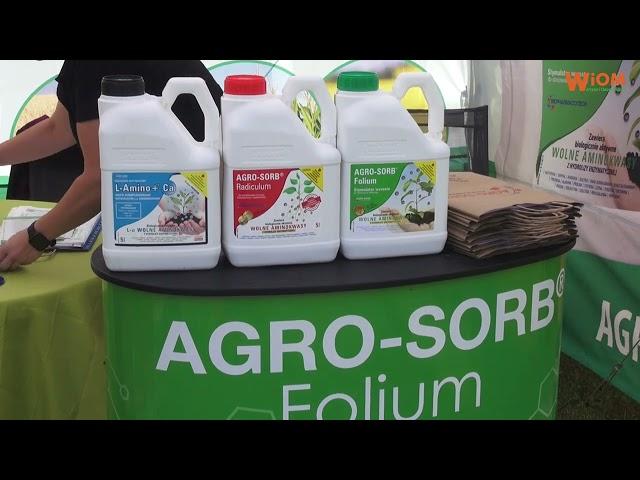 Naturalne aminokwasy od Agro-Sorb do uprawy ogórka