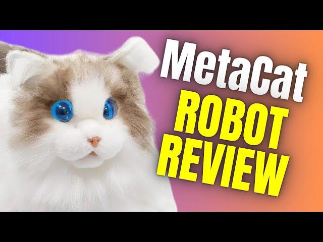 MetaCat: AI Pet Robot Cat!? (Full Review)