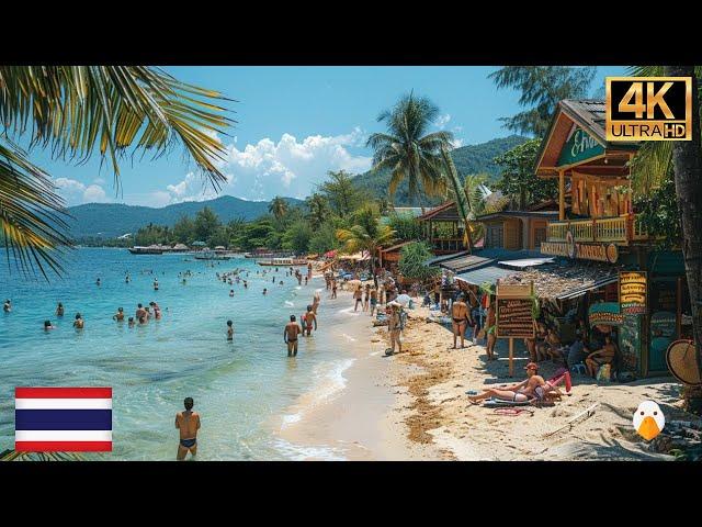 Koh Tao, Thailand Most Relaxing Tropical Paradise Island in Thailand (4K UHD)