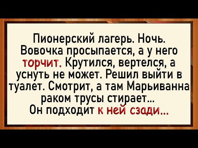 Как Марьиванна - Вовочке помогла! Сборник свежих анекдотов! Юмор!