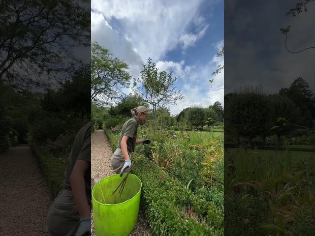 A Day in My Life as a Professional Gardener