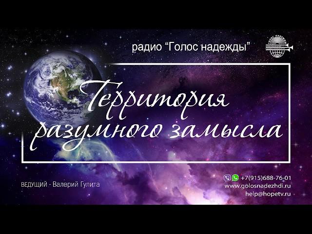 Бионика: изобретения, "запатентованные" природой | программа "Территория разумного замысла"