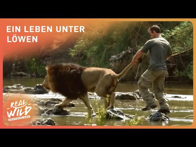 Das Leben mit Löwen: Kevin Richardson erzählt | Real Wild Deutschland