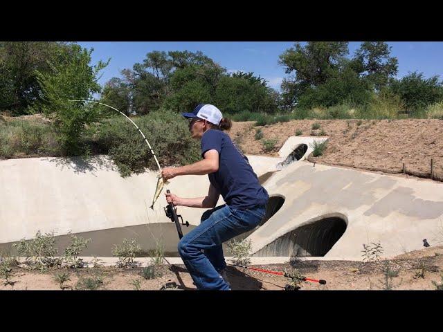 Albuquerque Ditch’s Can Hold Tons Of Fish