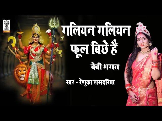 देवी भगत | गलियन गलियन फूल बिछे हैं तुम दुर्गा चली आबा होमा | माता के जस renuka samdariya