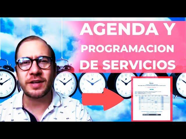 Cómo agendar tus servicios de control de plagas