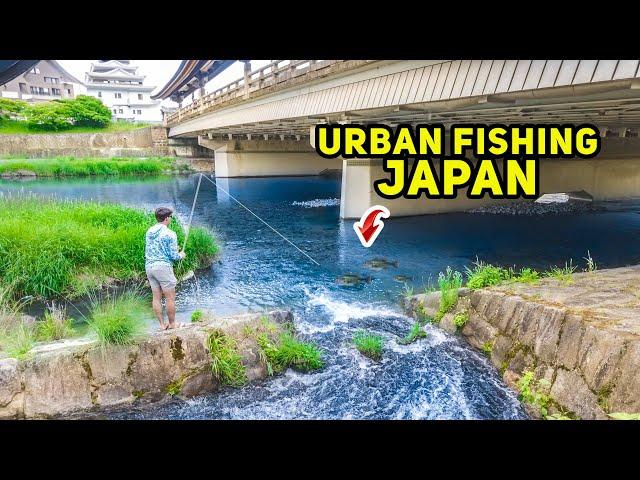 FISHING JAPAN's Urban CLEAR WATER CANALS!