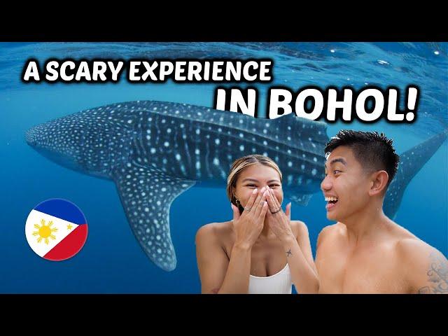 WHALE SHARK encounter in Bohol, Philippines! We didn’t know Bohol had THIS 