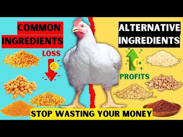 TOP 9 ALTERNATIVE FEED INGREDIENTS TO SAVE COST | STOP WASTING MONEY BUYING EXPENSIVE INGREDIENTS