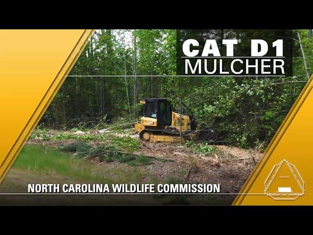 Cat® D1 Mulcher Customer Story – North Carolina Wildlife Commission (North Carolina, USA)