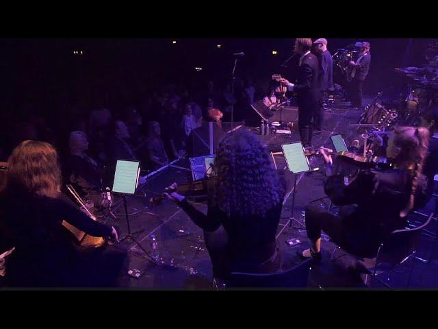 Thorbjørn Risager & The Black Tornado - Blue Lullaby (live with strings)